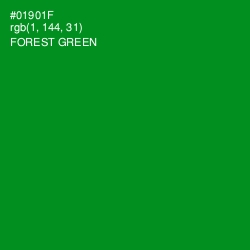 #01901F - Forest Green Color Image