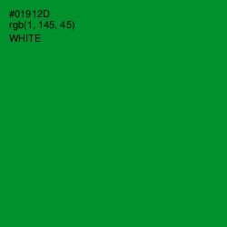 #01912D - Forest Green Color Image