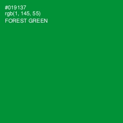 #019137 - Forest Green Color Image