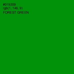 #019209 - Forest Green Color Image