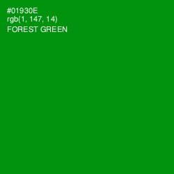 #01930E - Forest Green Color Image