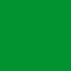 #01932F - Forest Green Color Image