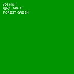 #019401 - Forest Green Color Image