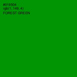 #019504 - Forest Green Color Image