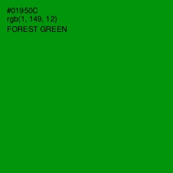 #01950C - Forest Green Color Image