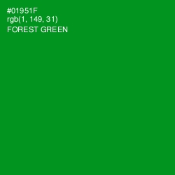 #01951F - Forest Green Color Image