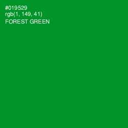 #019529 - Forest Green Color Image