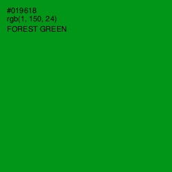 #019618 - Forest Green Color Image