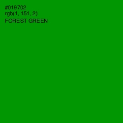 #019702 - Forest Green Color Image