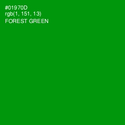 #01970D - Forest Green Color Image