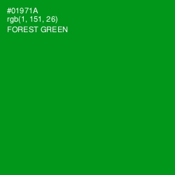 #01971A - Forest Green Color Image