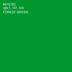 #01972C - Forest Green Color Image