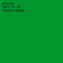 #01972D - Forest Green Color Image