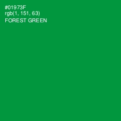#01973F - Forest Green Color Image