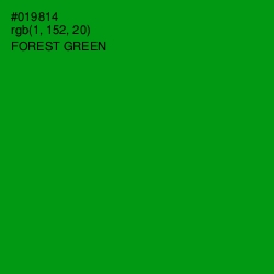 #019814 - Forest Green Color Image