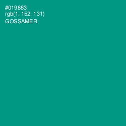 #019883 - Gossamer Color Image