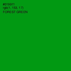 #019911 - Forest Green Color Image