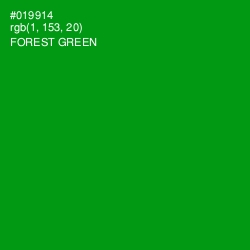 #019914 - Forest Green Color Image