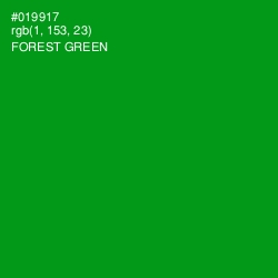 #019917 - Forest Green Color Image