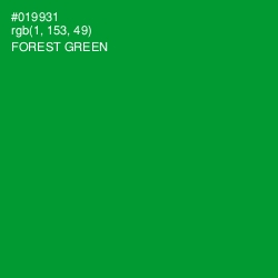 #019931 - Forest Green Color Image