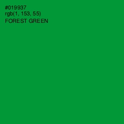 #019937 - Forest Green Color Image