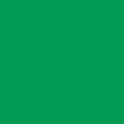 #019953 - Green Haze Color Image