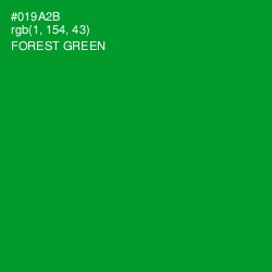 #019A2B - Forest Green Color Image