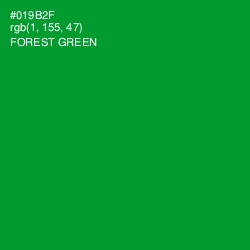 #019B2F - Forest Green Color Image