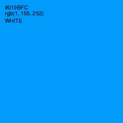 #019BFC - Dodger Blue Color Image