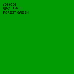 #019C03 - Forest Green Color Image