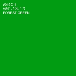 #019C11 - Forest Green Color Image