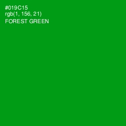 #019C15 - Forest Green Color Image