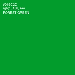 #019C2C - Forest Green Color Image