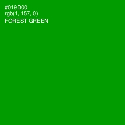 #019D00 - Forest Green Color Image