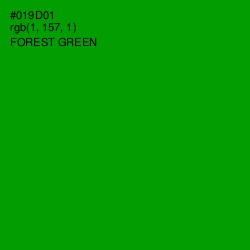 #019D01 - Forest Green Color Image