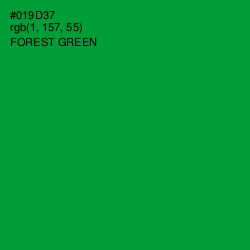 #019D37 - Forest Green Color Image