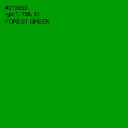 #019E03 - Forest Green Color Image