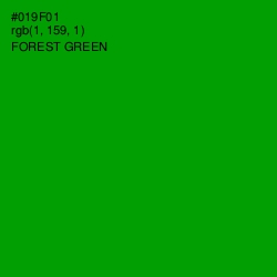 #019F01 - Forest Green Color Image