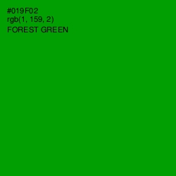 #019F02 - Forest Green Color Image