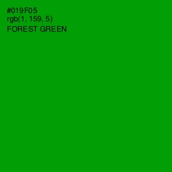 #019F05 - Forest Green Color Image