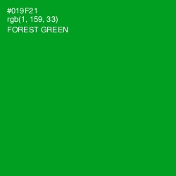 #019F21 - Forest Green Color Image