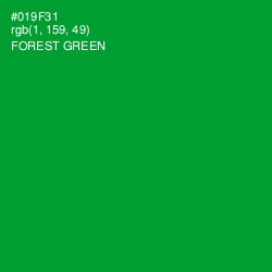 #019F31 - Forest Green Color Image