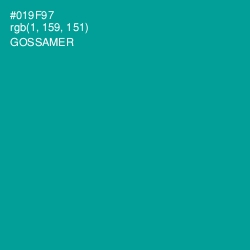 #019F97 - Gossamer Color Image