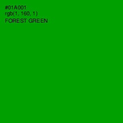 #01A001 - Forest Green Color Image