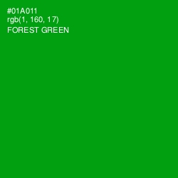 #01A011 - Forest Green Color Image