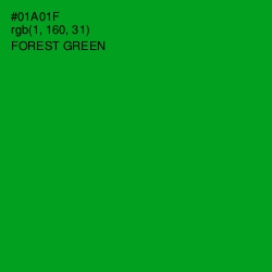 #01A01F - Forest Green Color Image