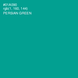 #01A090 - Persian Green Color Image