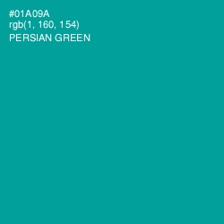 #01A09A - Persian Green Color Image