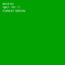 #01A101 - Forest Green Color Image