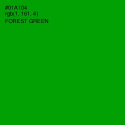 #01A104 - Forest Green Color Image